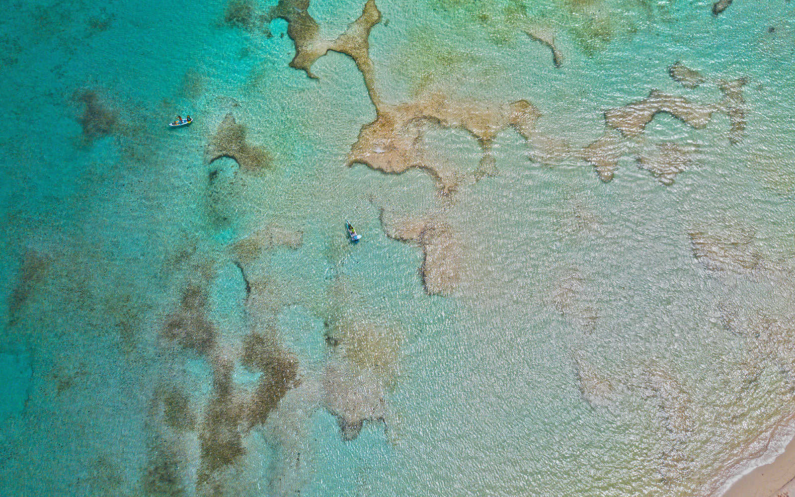 an aerial image of paddleboarders paddling over coral reefs