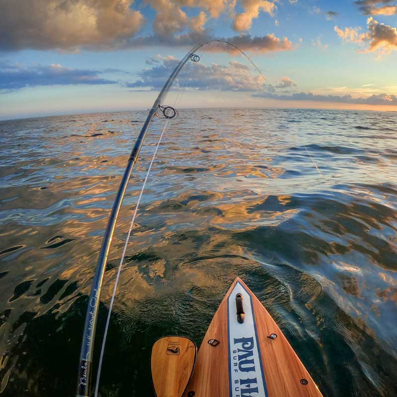 a pov image of fishing from the endurance vft paddleboard