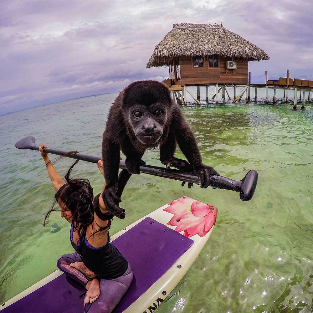 A woman sitting cross legged on a paddleboard holding a paddle in the air while a monkey sits on the paddle shaft