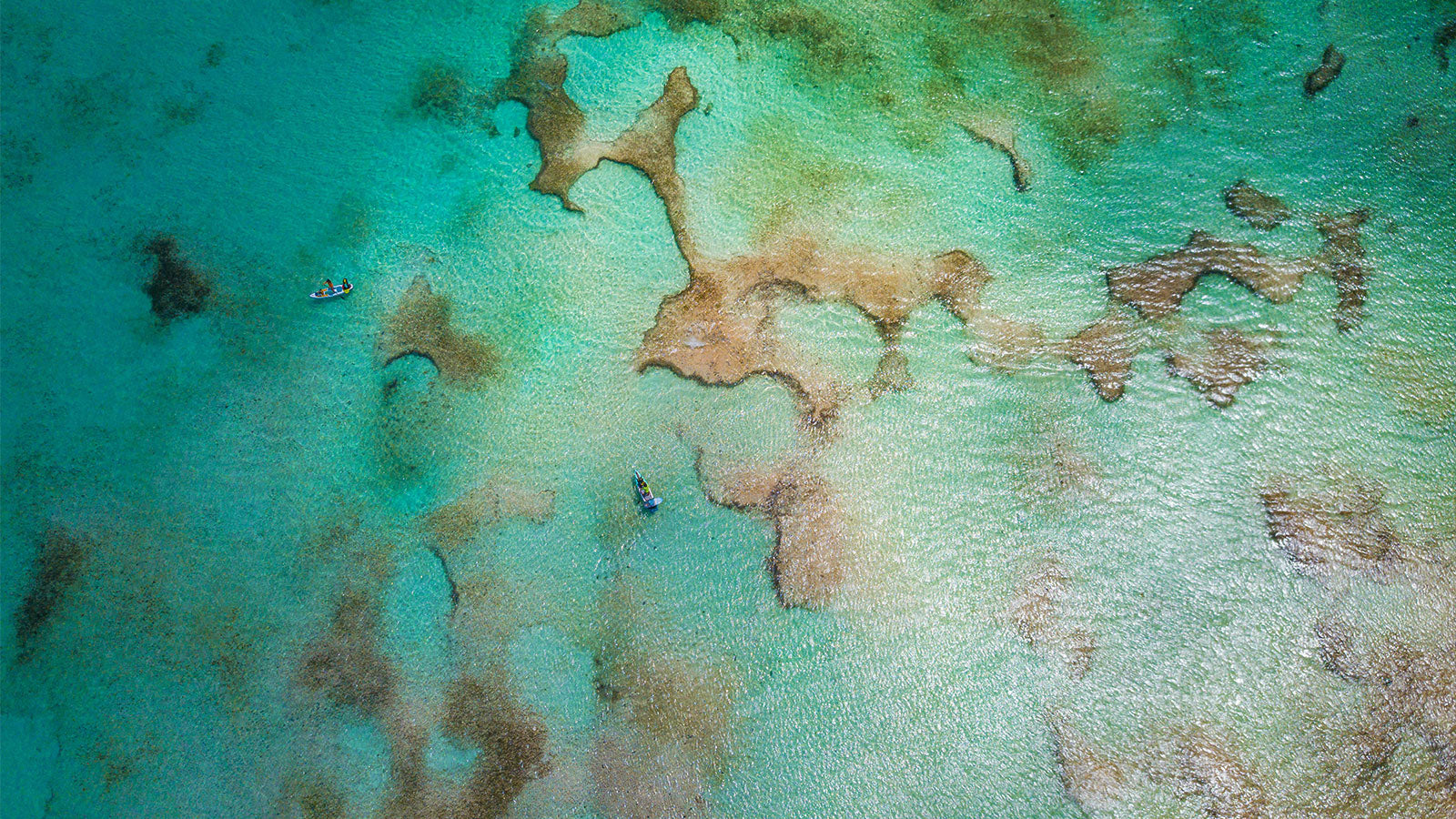 Paddleboarders paddling over a coral reef image shot from above